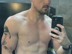 TheSolidSnake23