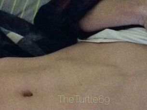 TheTurtle69