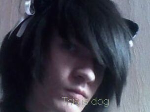 This_is_dog