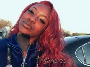 TinyAndrea