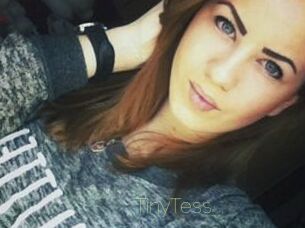TinyTess