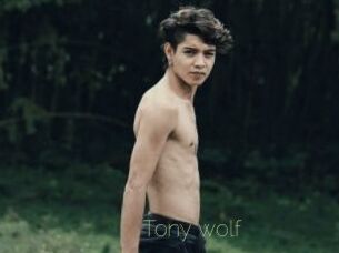 Tony_wolf