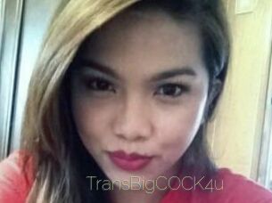 TransBigCOCK4u