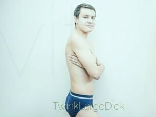 TwinkLargeDick