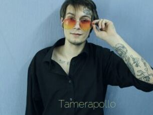 Tamerapollo