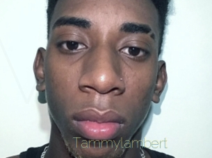 Tammylambert