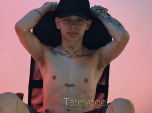 Tatevogel