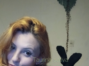 Taurina_sativa