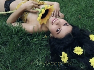 Taylacoperrk
