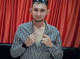 Taylorsilver