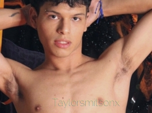 taylorsmitsonx Visio Tchats