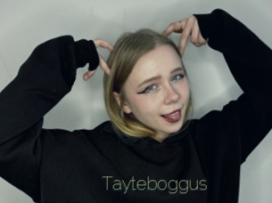Tayteboggus