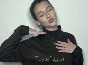 Taytefugler