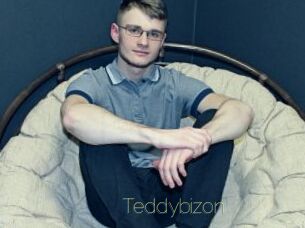 Teddybizon
