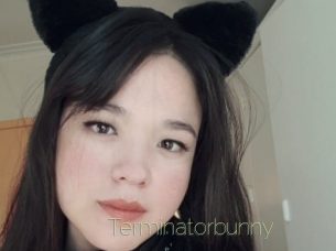 Terminatorbunny