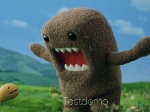 Testdomo