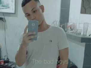 The_bad_boys_1