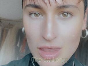 The_stallion55