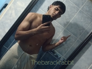 Thebarackrabbit