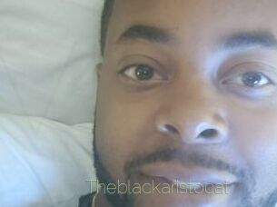 Theblackaristocat