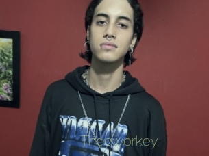 Theeworkey
