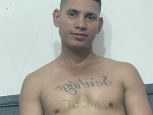Thesantyx