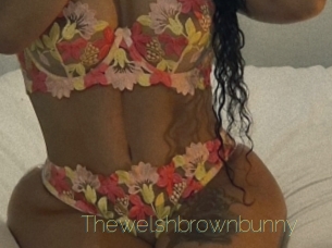 Thewelshbrownbunny