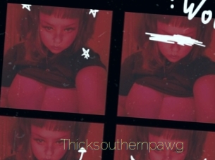 Thicksouthernpawg