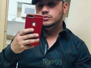 Tiger93