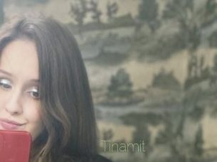 Tinamit