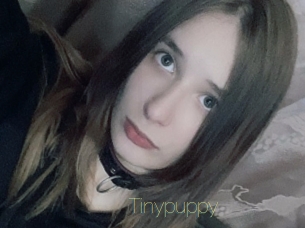 Tinypuppy
