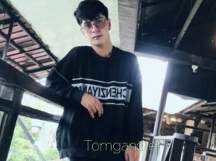 Tomgandler