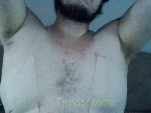 Transshadow