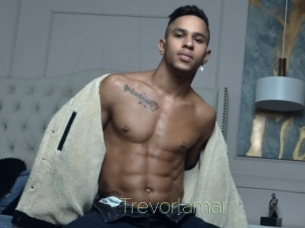 Trevorlamar