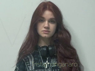 Tristamanganaro