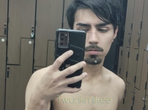 Twunkmikee