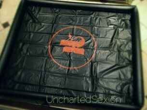 UnchartedSexion