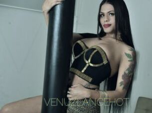 VENUZLANCEHOT