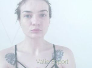Valie_Export Visio Tchats