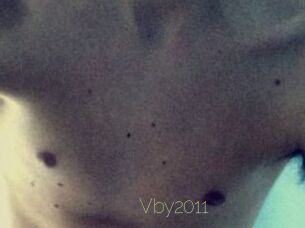 Vby2011