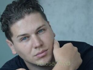 VelosaDavid