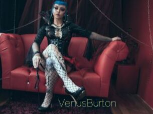 VenusBurton