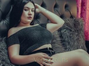 VenusCollins