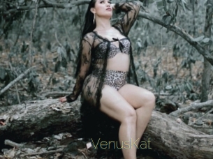 VenusKat