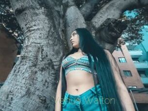 Venus_Walton
