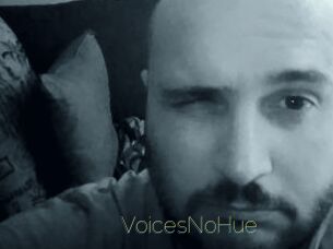 VoicesNoHue