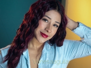 Vanesaaguilar
