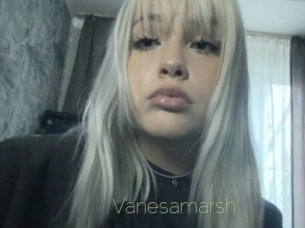 Vanesamarsh
