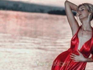 Vanessabelt