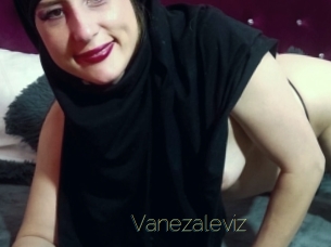 Vanezaleviz